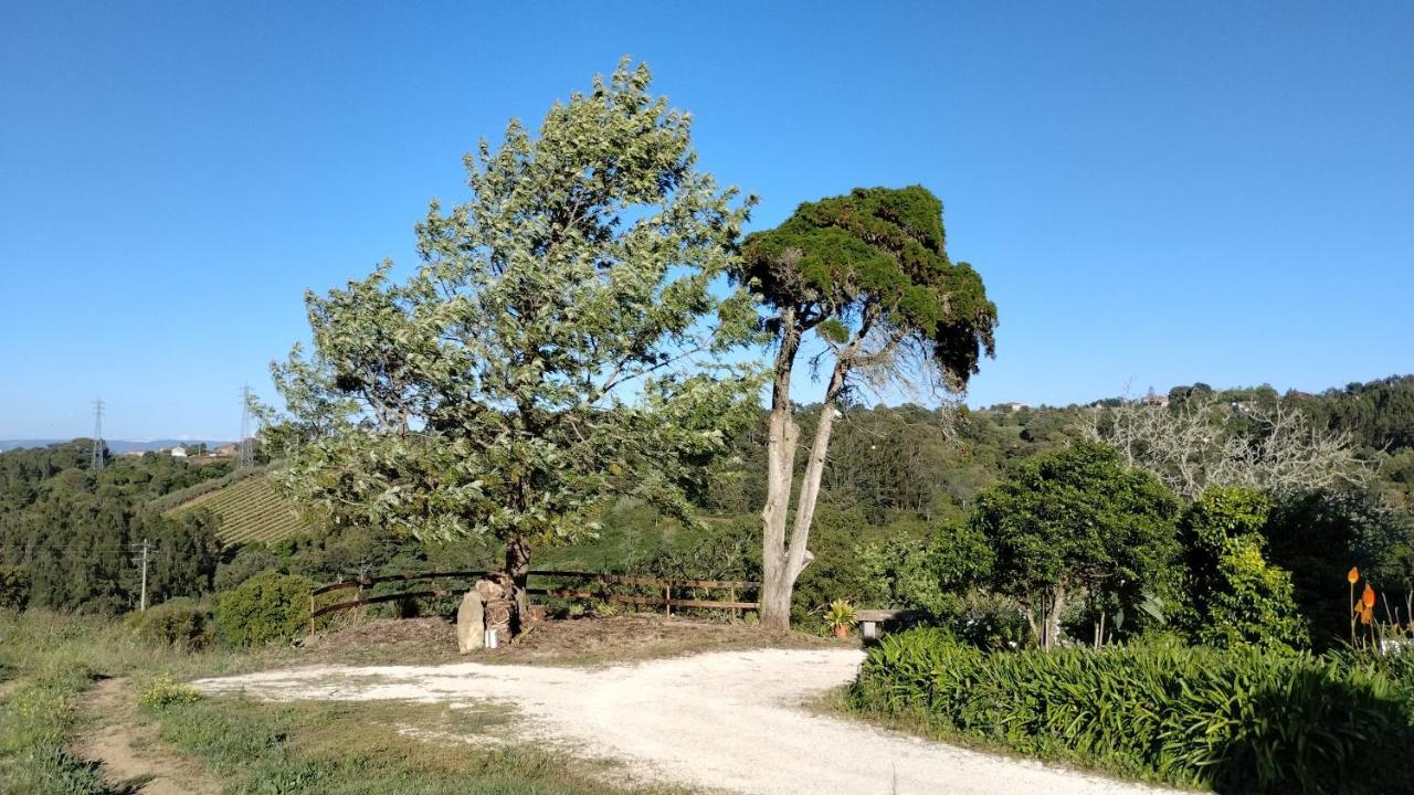 Quinta Do Oratorio Agroturismo Óbidos Exterior foto